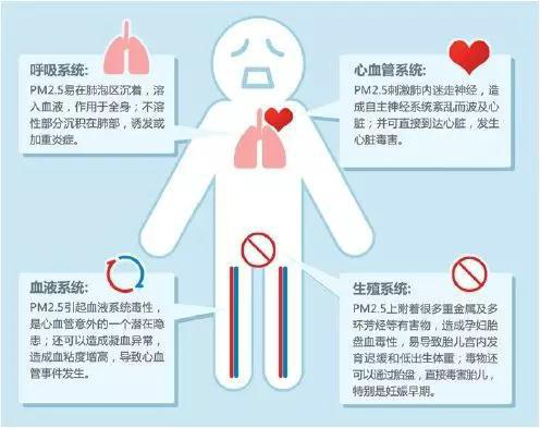 吸入霧霾的后果